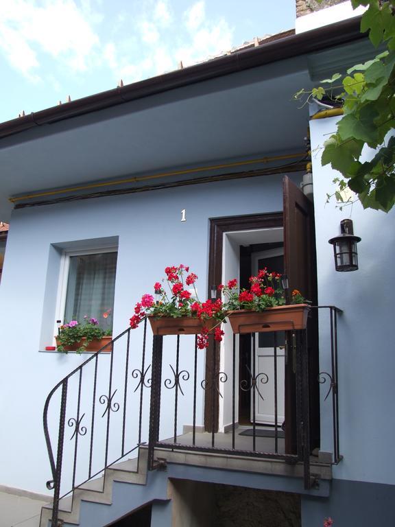 Blue House 호텔 브라쇼브 외부 사진